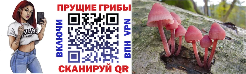 Галлюциногенные грибы ЛСД наркошоп Батайск