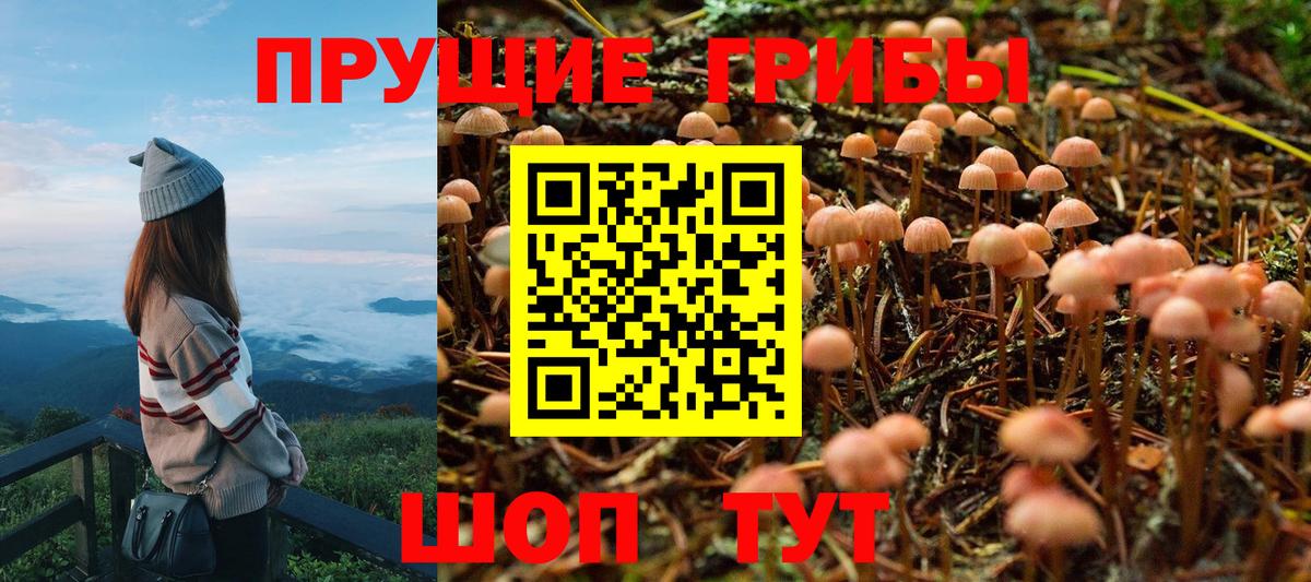 Галлюциногенные грибы Psilocybe  Вход с VPN  Батайск 